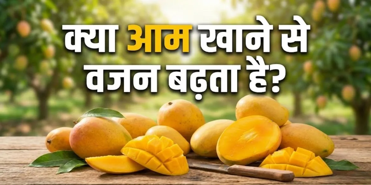 लेख की तस्वीर