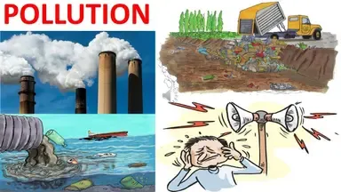 Pollution Causes