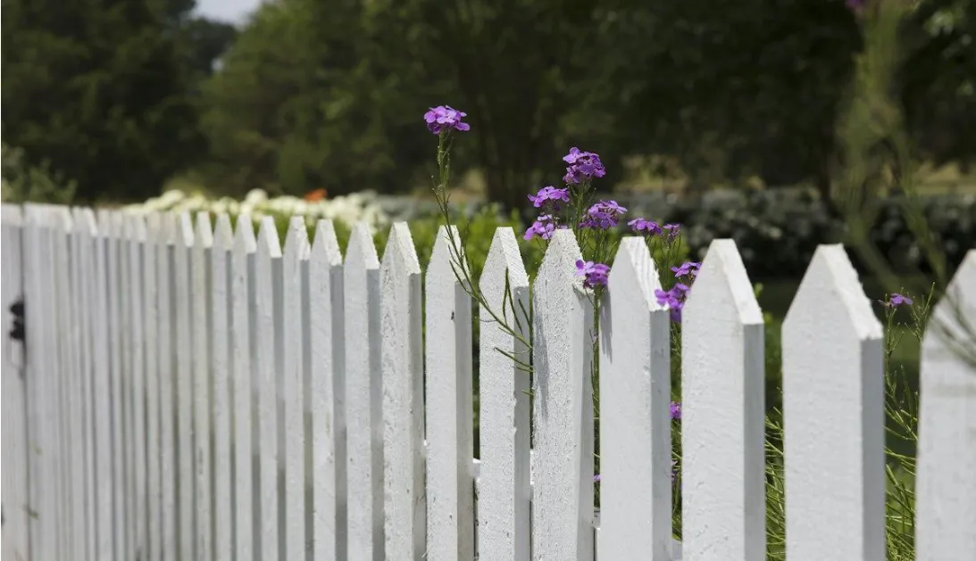 Vinyl Fence Colors and Styles: What's Available and What Shapes the Final Look