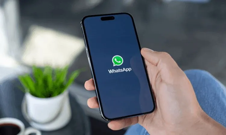 WhatsApp Business API Explained: How Enterprises Transform Customer Engagement